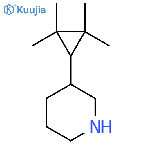 3-(2,2,3,3-tetramethylcyclopropyl)piperidine structure