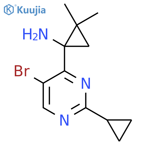 1-(5-bromo-2-cyclopropylpyrimidin-4-yl)-2,2-dimethylcyclopropan-1-amine structure