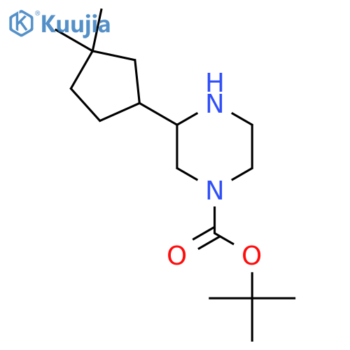 tert-butyl 3-(3,3-dimethylcyclopentyl)piperazine-1-carboxylate structure