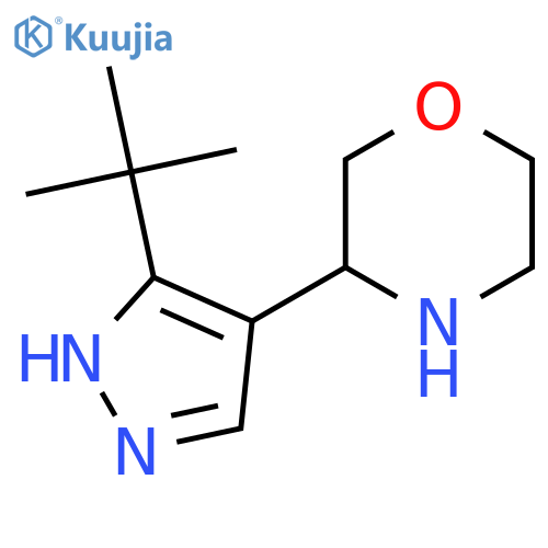 3-(3-tert-butyl-1H-pyrazol-4-yl)morpholine structure