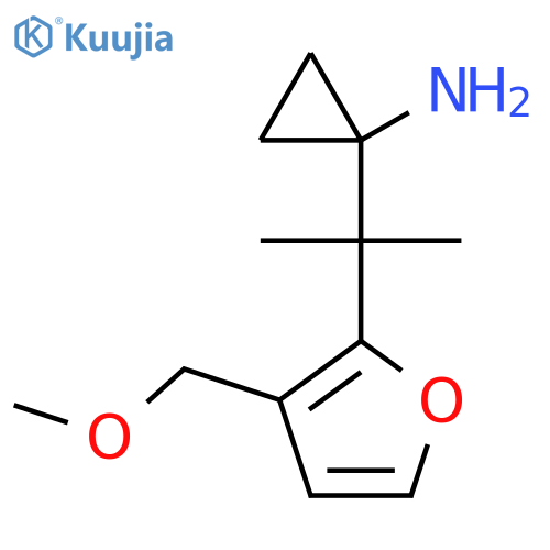 1-{2-3-(methoxymethyl)furan-2-ylpropan-2-yl}cyclopropan-1-amine structure
