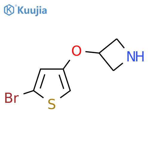 3-(5-bromothiophen-3-yl)oxyazetidine structure