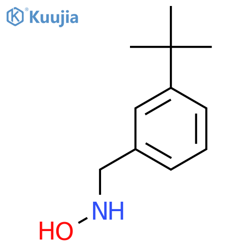 N-(3-tert-butylphenyl)methylhydroxylamine structure