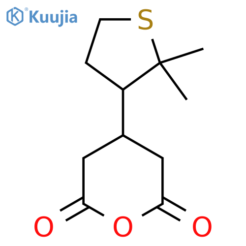 4-(2,2-Dimethylthiolan-3-yl)oxane-2,6-dione structure