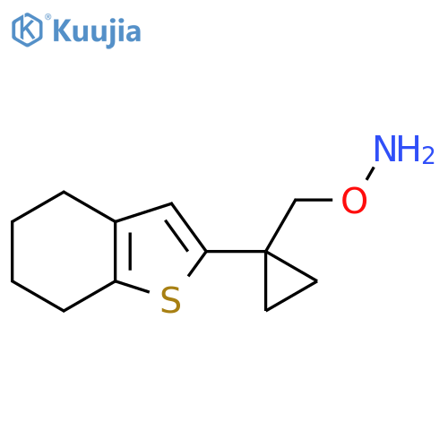 O-{1-(4,5,6,7-tetrahydro-1-benzothiophen-2-yl)cyclopropylmethyl}hydroxylamine structure