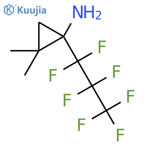 1-(heptafluoropropyl)-2,2-dimethylcyclopropan-1-amine structure