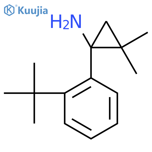 1-(2-tert-butylphenyl)-2,2-dimethylcyclopropan-1-amine structure