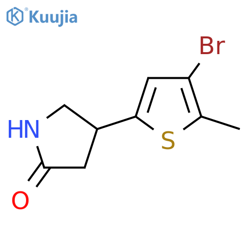 4-(4-bromo-5-methylthiophen-2-yl)pyrrolidin-2-one structure