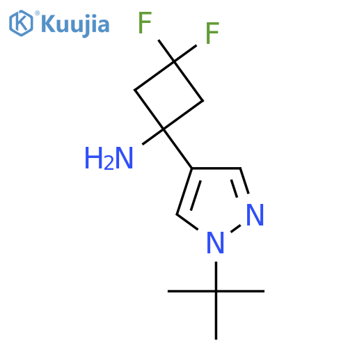 1-(1-tert-butyl-1H-pyrazol-4-yl)-3,3-difluorocyclobutan-1-amine structure