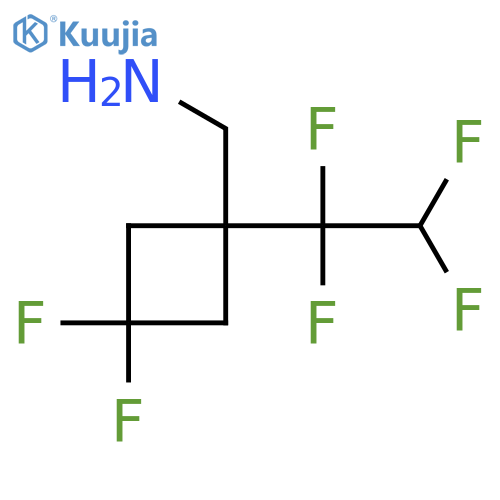 3,3-difluoro-1-(1,1,2,2-tetrafluoroethyl)cyclobutylmethanamine structure