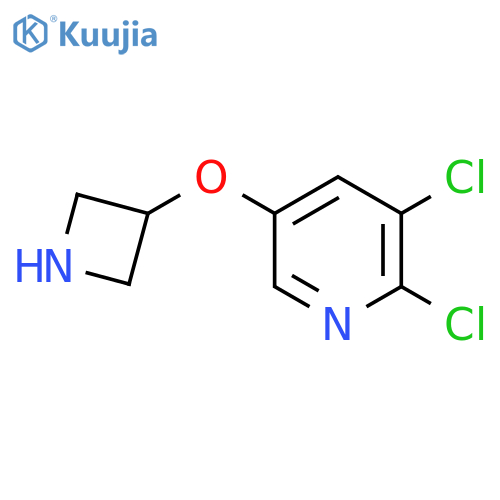 5-(azetidin-3-yloxy)-2,3-dichloropyridine structure