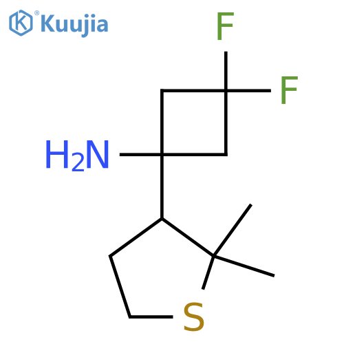 1-(2,2-dimethylthiolan-3-yl)-3,3-difluorocyclobutan-1-amine structure