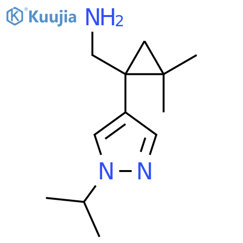 {2,2-dimethyl-1-1-(propan-2-yl)-1H-pyrazol-4-ylcyclopropyl}methanamine structure
