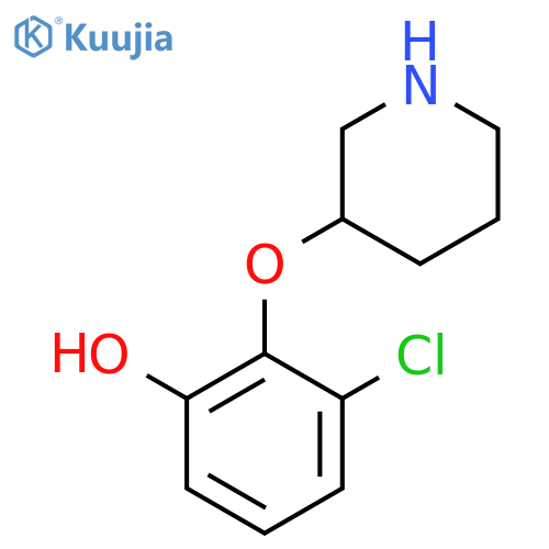 3-chloro-2-(piperidin-3-yloxy)phenol structure