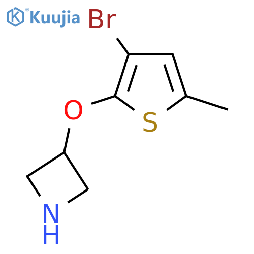 3-(3-bromo-5-methylthiophen-2-yl)oxyazetidine structure