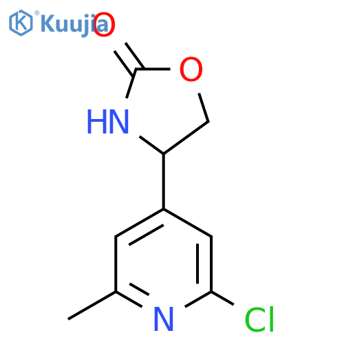 4-(2-chloro-6-methylpyridin-4-yl)-1,3-oxazolidin-2-one structure