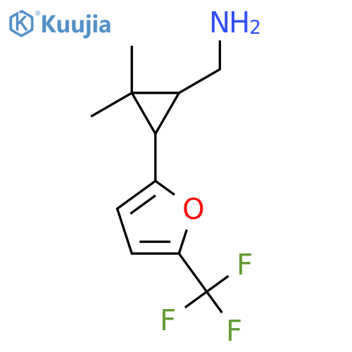 {2,2-dimethyl-3-5-(trifluoromethyl)furan-2-ylcyclopropyl}methanamine structure