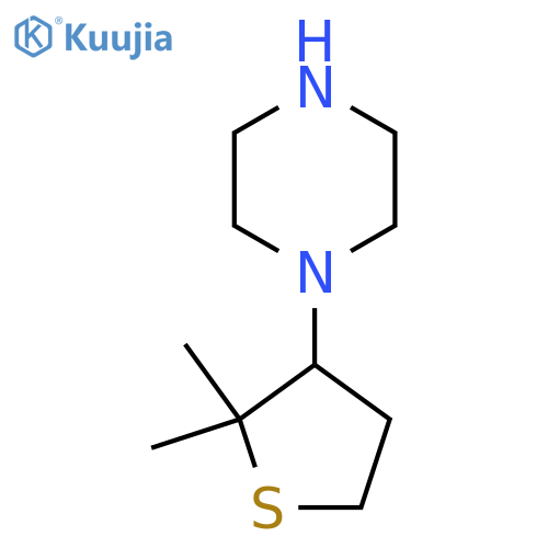 1-(2,2-dimethylthiolan-3-yl)piperazine structure