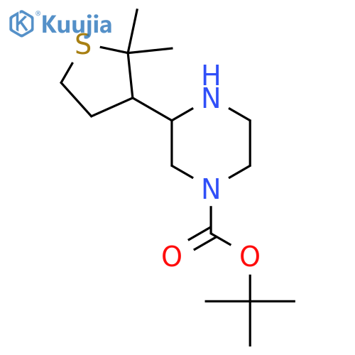 tert-butyl 3-(2,2-dimethylthiolan-3-yl)piperazine-1-carboxylate structure