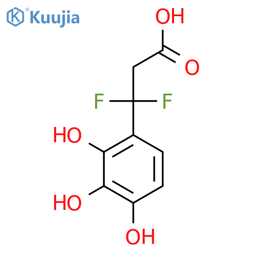 3,3-difluoro-3-(2,3,4-trihydroxyphenyl)propanoic acid structure