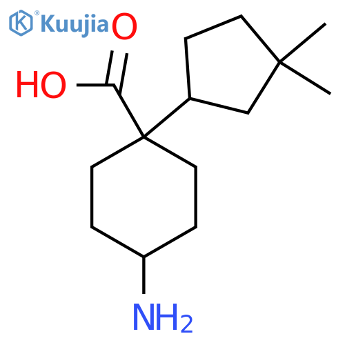 4-amino-1-(3,3-dimethylcyclopentyl)cyclohexane-1-carboxylic acid structure
