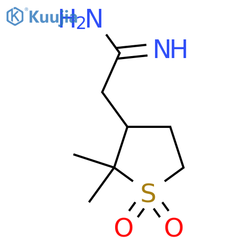 2-(2,2-dimethyl-1,1-dioxo-1lambda6-thiolan-3-yl)ethanimidamide structure
