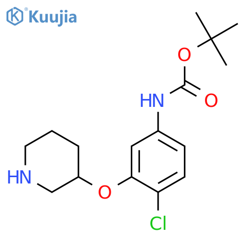 tert-butyl N-4-chloro-3-(piperidin-3-yloxy)phenylcarbamate structure