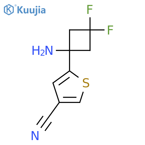 5-(1-amino-3,3-difluorocyclobutyl)thiophene-3-carbonitrile structure