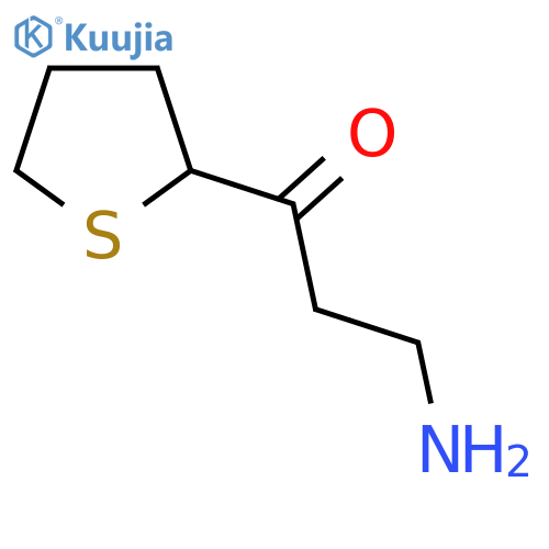 3-amino-1-(thiolan-2-yl)propan-1-one structure