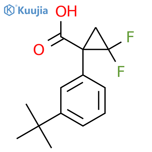 1-(3-tert-butylphenyl)-2,2-difluorocyclopropane-1-carboxylic acid structure
