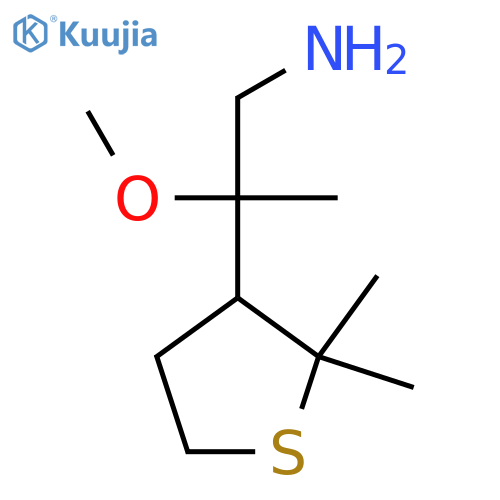2-(2,2-dimethylthiolan-3-yl)-2-methoxypropan-1-amine structure