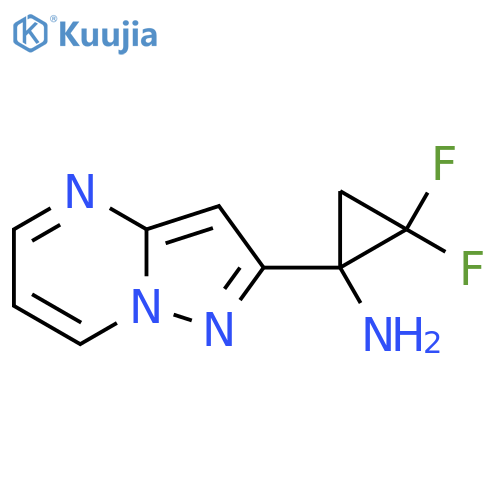 2,2-difluoro-1-{pyrazolo1,5-apyrimidin-2-yl}cyclopropan-1-amine structure