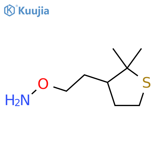 O-2-(2,2-dimethylthiolan-3-yl)ethylhydroxylamine structure
