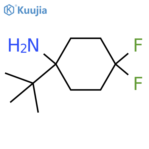 1-tert-butyl-4,4-difluorocyclohexan-1-amine structure