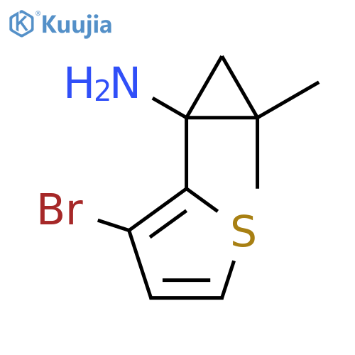 1-(3-bromothiophen-2-yl)-2,2-dimethylcyclopropan-1-amine structure