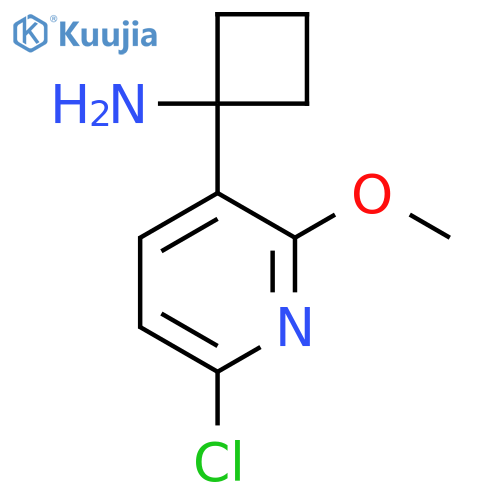 1-(6-chloro-2-methoxypyridin-3-yl)cyclobutan-1-amine structure