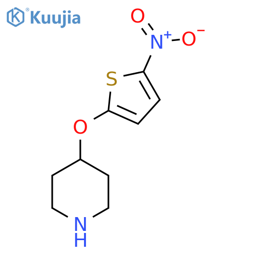 4-(5-nitrothiophen-2-yl)oxypiperidine structure