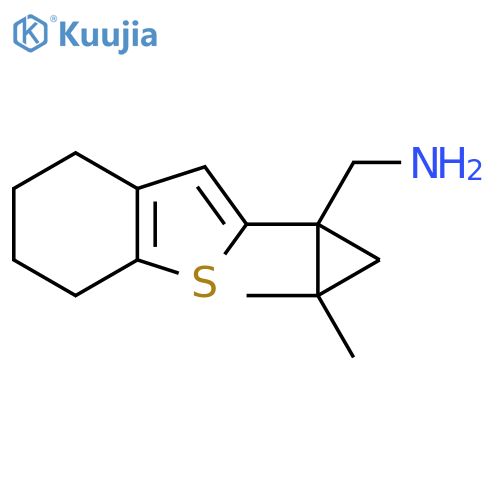 2,2-dimethyl-1-(4,5,6,7-tetrahydro-1-benzothiophen-2-yl)cyclopropylmethanamine structure