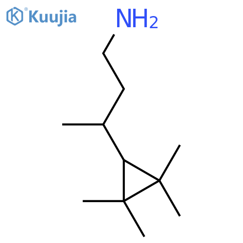 3-(2,2,3,3-tetramethylcyclopropyl)butan-1-amine structure