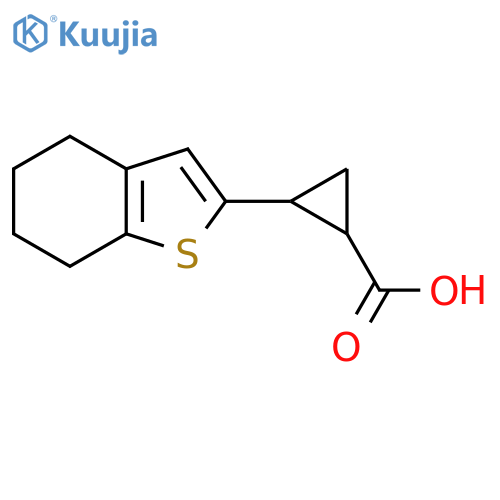 2-(4,5,6,7-tetrahydro-1-benzothiophen-2-yl)cyclopropane-1-carboxylic acid structure