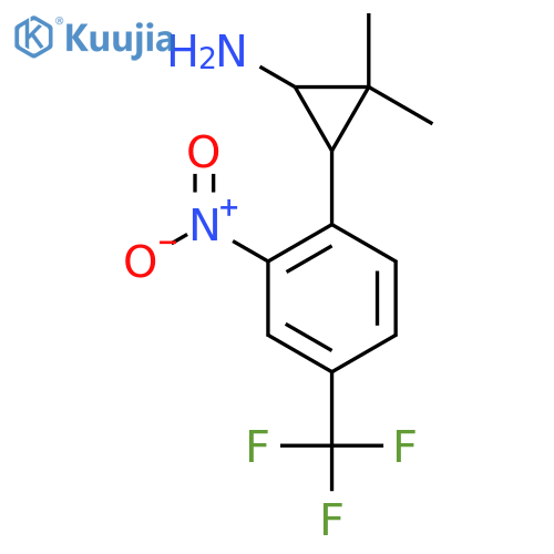 2,2-dimethyl-3-2-nitro-4-(trifluoromethyl)phenylcyclopropan-1-amine structure