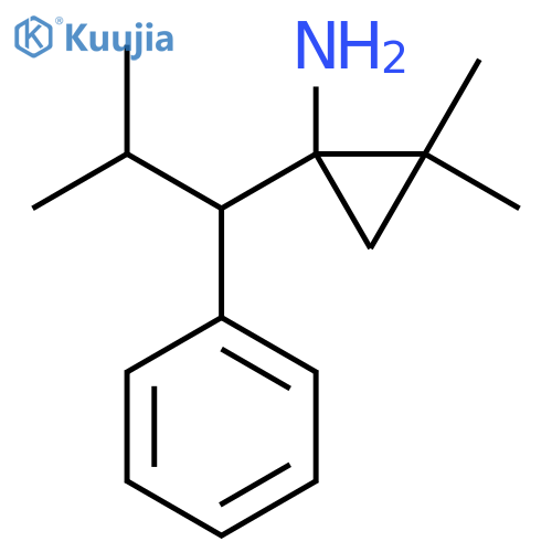 2,2-dimethyl-1-(2-methyl-1-phenylpropyl)cyclopropan-1-amine structure