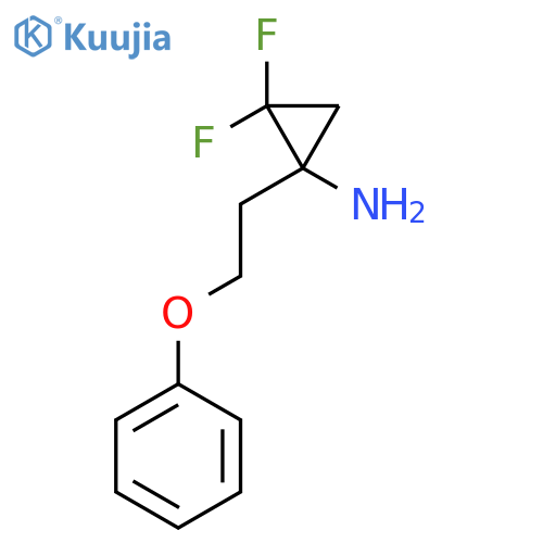 2,2-difluoro-1-(2-phenoxyethyl)cyclopropan-1-amine structure