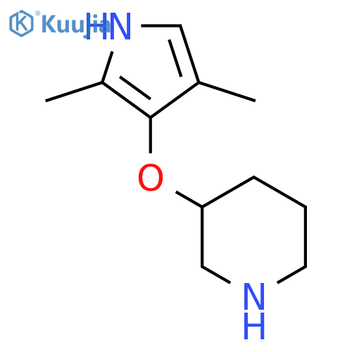 3-(2,4-dimethyl-1H-pyrrol-3-yl)oxypiperidine structure