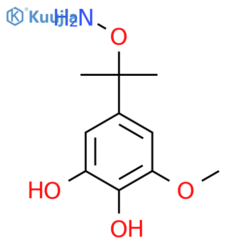 5-2-(aminooxy)propan-2-yl-3-methoxybenzene-1,2-diol structure