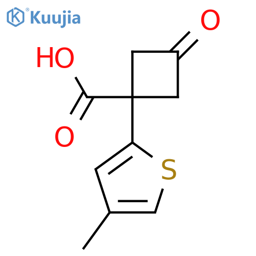 1-(4-methylthiophen-2-yl)-3-oxocyclobutane-1-carboxylic acid structure