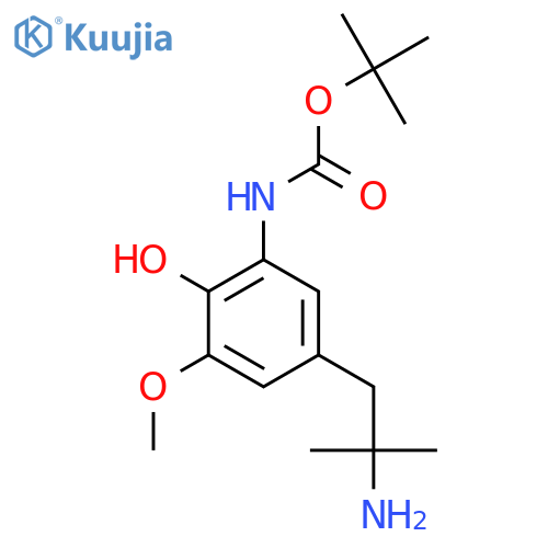 tert-butyl N-5-(2-amino-2-methylpropyl)-2-hydroxy-3-methoxyphenylcarbamate structure