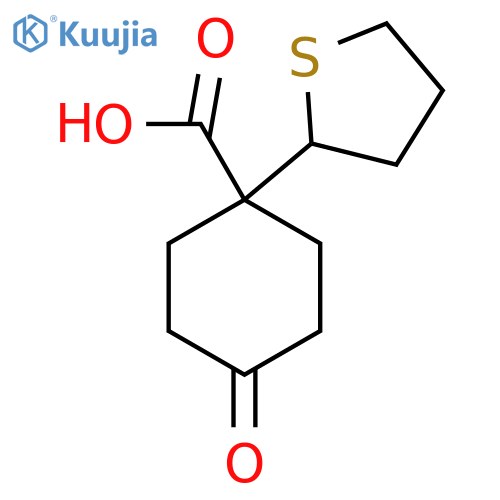 4-oxo-1-(thiolan-2-yl)cyclohexane-1-carboxylic acid structure