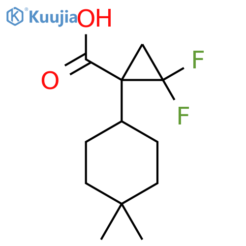 1-(4,4-dimethylcyclohexyl)-2,2-difluorocyclopropane-1-carboxylic acid structure
