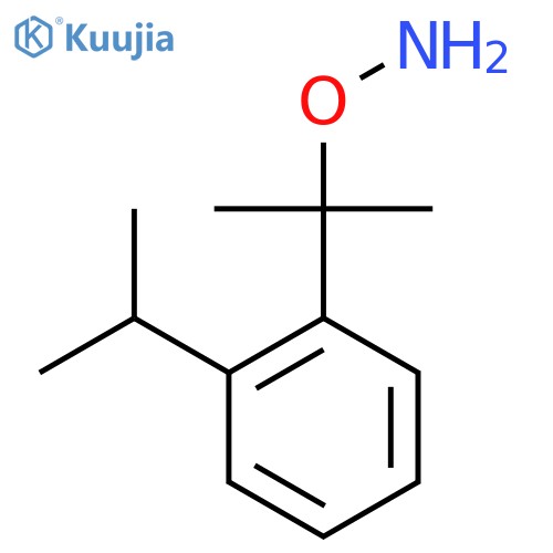 O-{2-2-(propan-2-yl)phenylpropan-2-yl}hydroxylamine structure